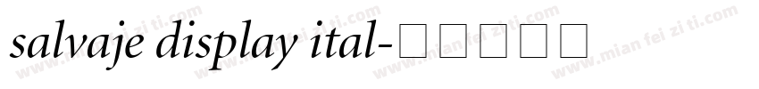 salvaje display ital字体转换